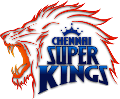 CSK Hoodies